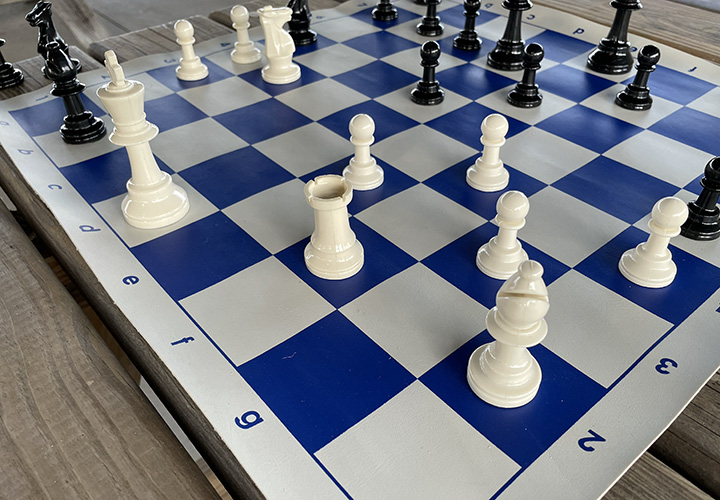 Black and white chess pieces on a blue and white checkered board.